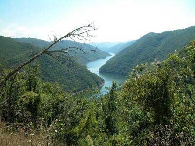 NestosRiver.jpg