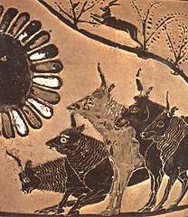 The Oxen of the Sun The Oxen of the Sun