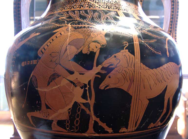 bilingual amphora