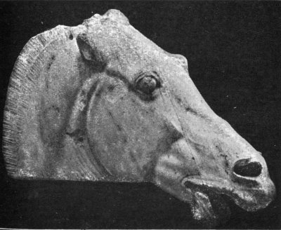 Fig.
6. HORSE&rsquo;S HEAD. FROM PARTHENON. 440 B. C.