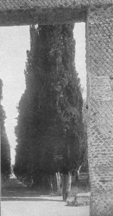 Example Of Opus Reticulatum From The Doorway Of The Stoa Poecile. VillaOf Hadrian At Tivoli